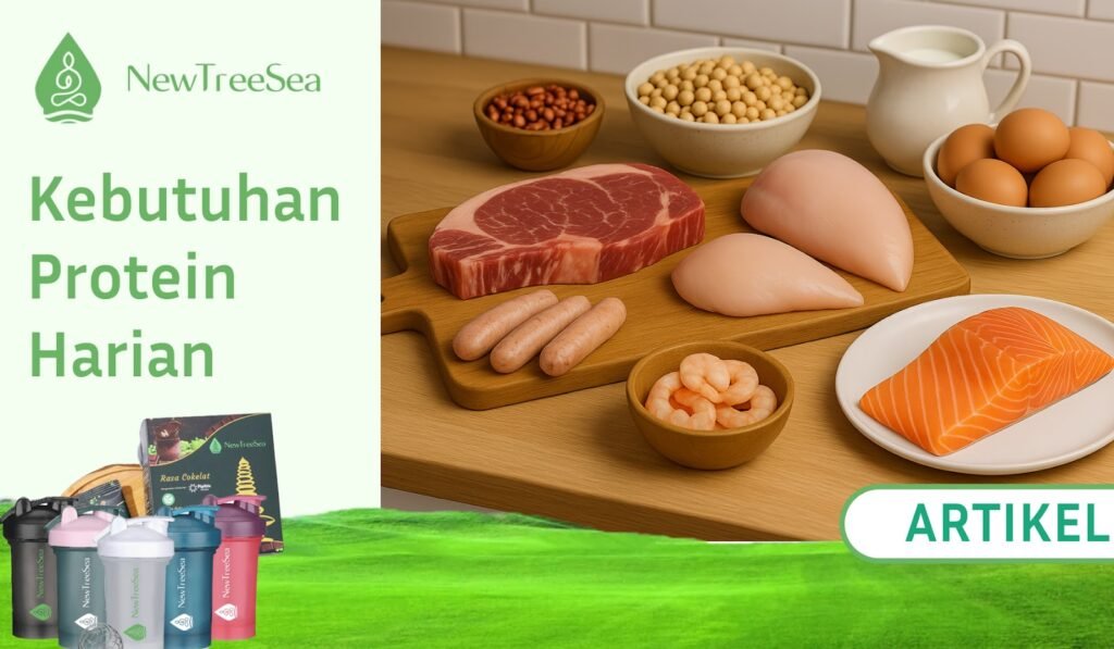 Kebutuhan Protein Harian Untuk Pria dan Wanita