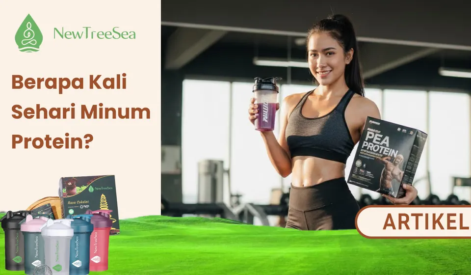 Berapa Kali Sehari Minum Protein