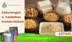 Harus Tahu! Ini Kekurangan dan Kelebihan dari Protein Nabati